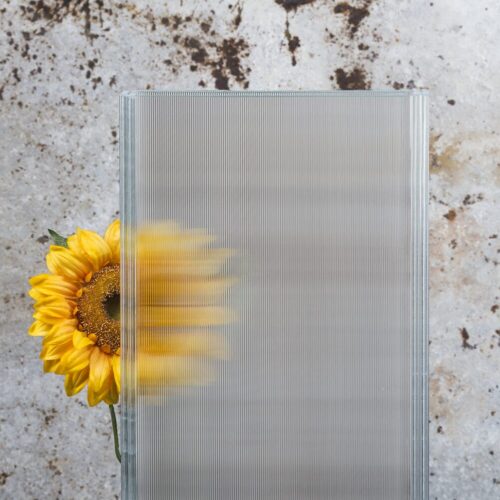 GL_FLOAT Magico DOUBLE-GLASS